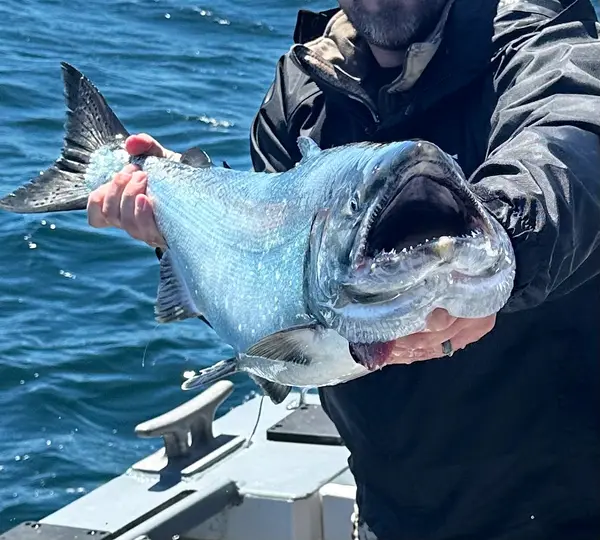 Salty Dog Charters, Westport, WA