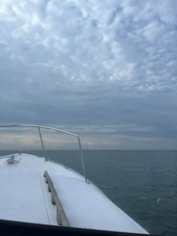 Salty Dog Diving