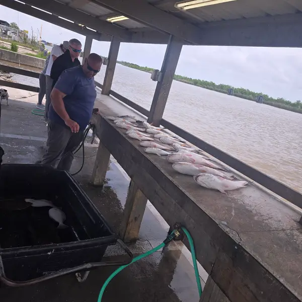 Salty Marsh Charters, Venice, LA
