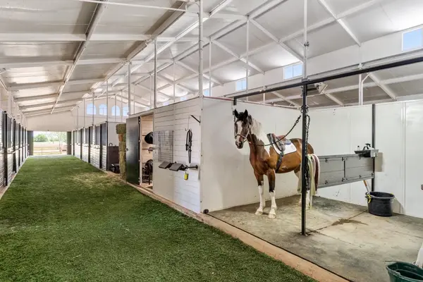 San Antonio Polo Club and Equestrian Center, photo 3