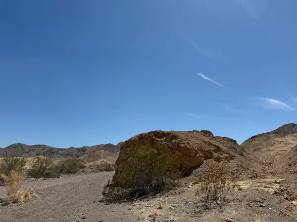 San Diego Dune Tours, photo 3