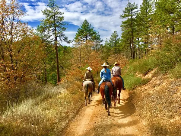San Diego Horse Trail Riding