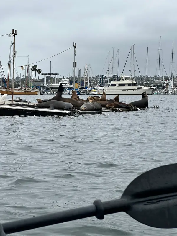 San Diego Kayak Rental, photo 2