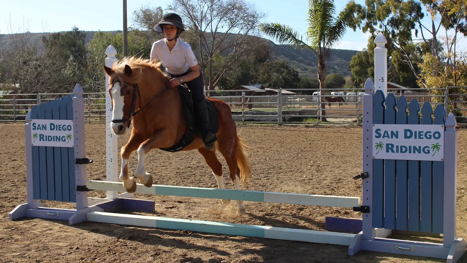 San Diego Riding