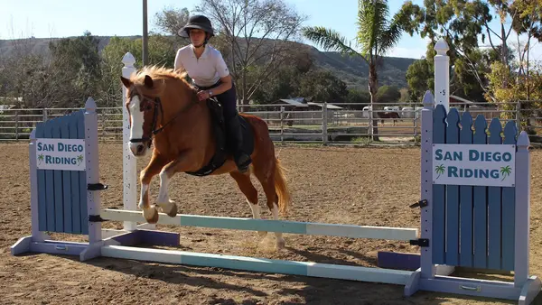 San Diego Riding
