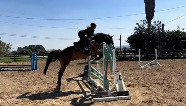 San Diego Riding, photo 1