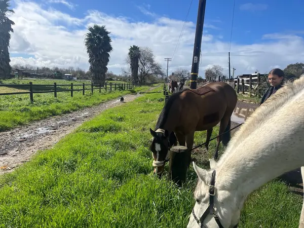 San Diego Riding, photo 2