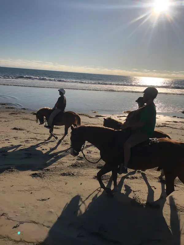 San Diego Riding, photo 3