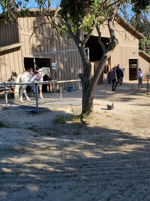 San Pascual Stables, photo 3