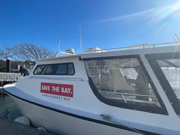 Save The Bay Seal Tours