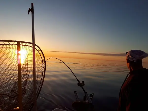 Scales and Tales Sportfishing Inc.