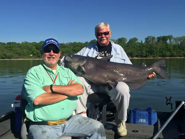 Scenic City Fishing Charters, Sale Creek, TN
