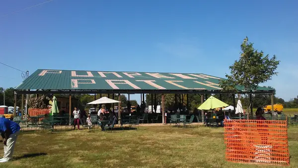 Schaefer's Pumpkin Patch, Mayflower, AR