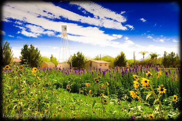 Schnepf Farms, Queen Creek, AZ
