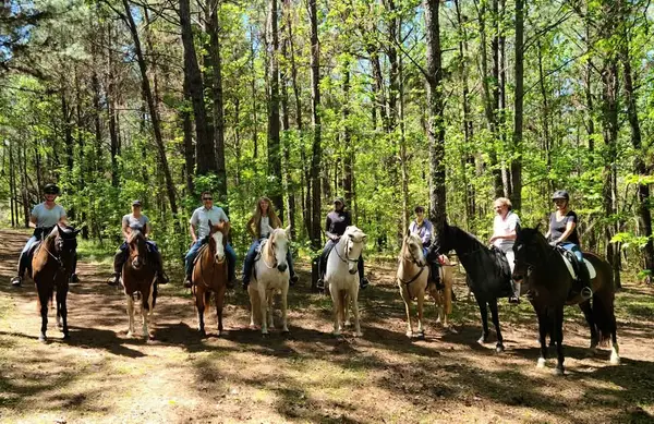 Schuck Equestrian at Diamond Oaks Farm, photo 1