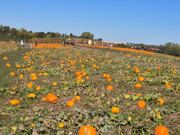 Schweizer Orchards, St Joseph, MO