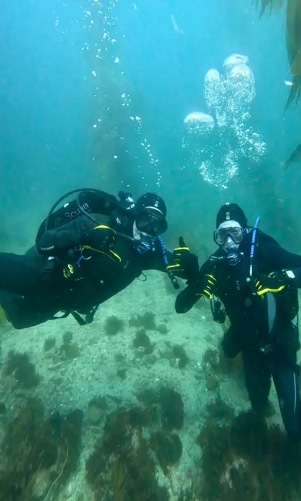Scuba by Design