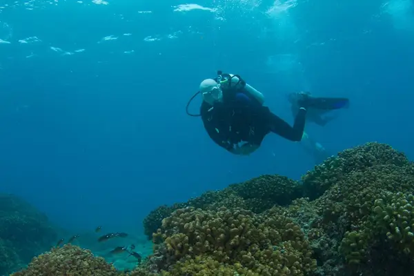 Scuba Club Tucson by Paragon Dive Group