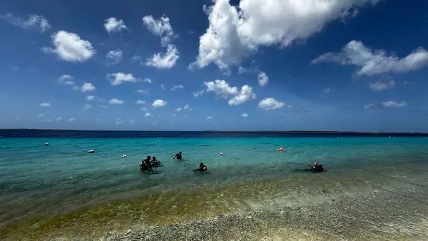 Scuba Elite - PADI 5 Star IDC Resort on Bonaire