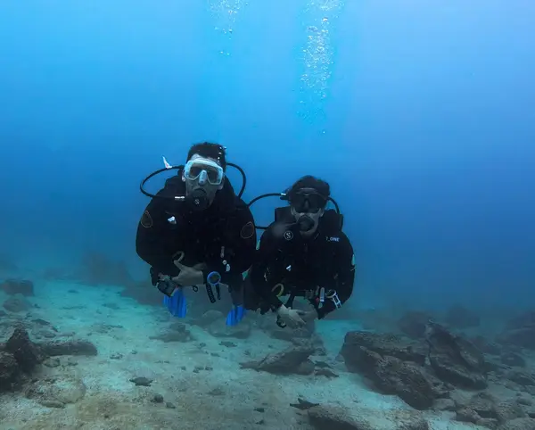 Scuba Iguana