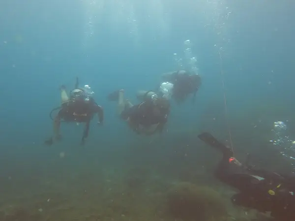 Scuba Shack, Koh Tao PADI dive center
