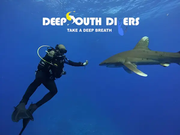 Scuba store marsa alam