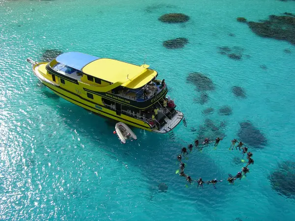 Sea Bees Diving
