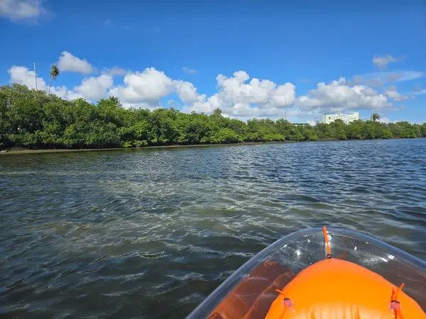 Sea Glass Kayaking Clearwater, photo 2