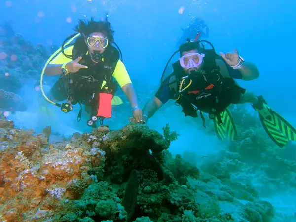 Sea Life Sharm Diving Center