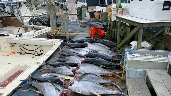 Sea Owl Fishing Charters
