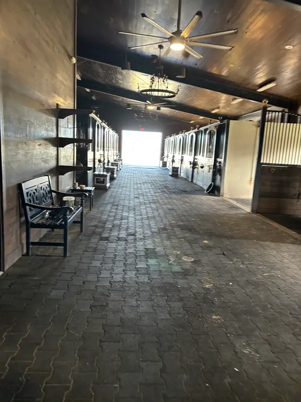 Sea Salt Stables, photo 2