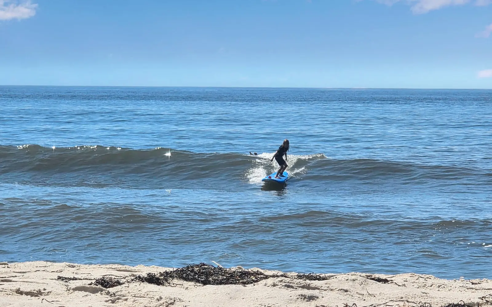 Sea Soul Surf Company