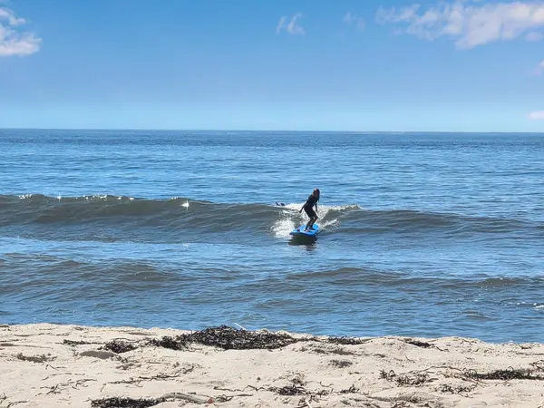 Sea Soul Surf Company, photo 4