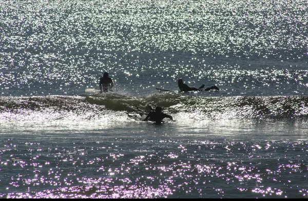 Sea Soul Surf Company, photo 1
