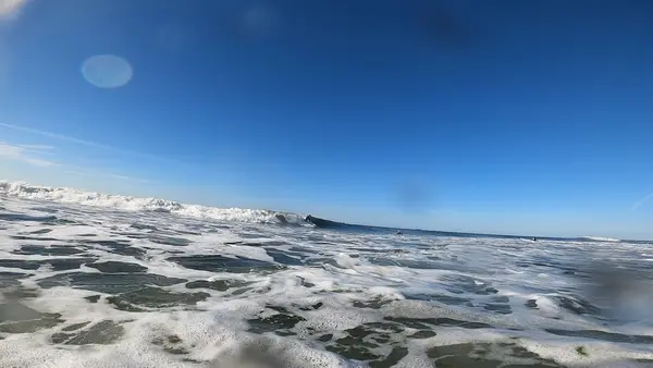 Sea Soul Surf Company, photo 2