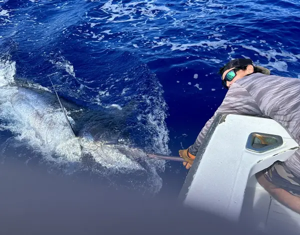 Sea Strike Kona Sport Fishing, Kailua-Kona, HI