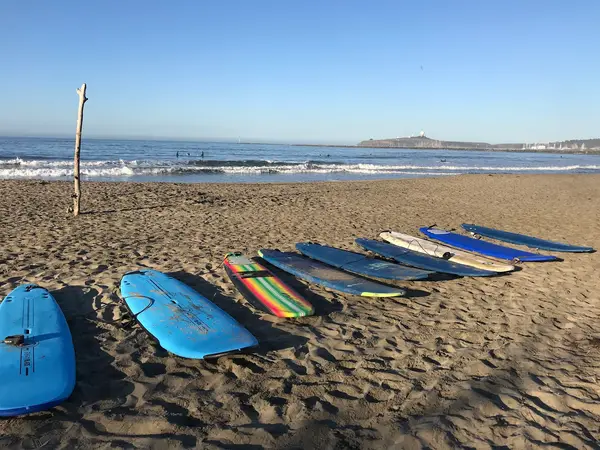 Sea, Surf & Fun, photo 3