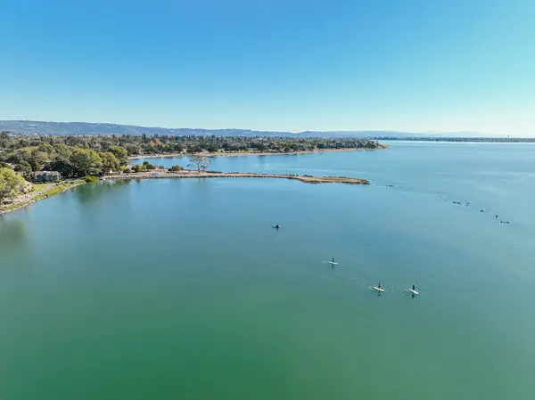 Sea Trek Kayak and SUP (Alameda)