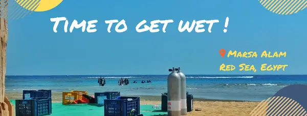 SeaHorse Diving Club