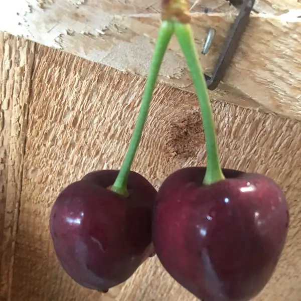 Seaquist Orchards Farm Market, Sister Bay, WI