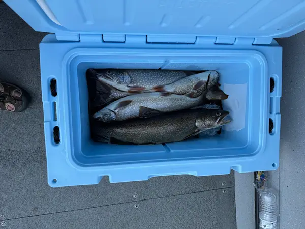 Sebago Sport Fishing and Guide Service