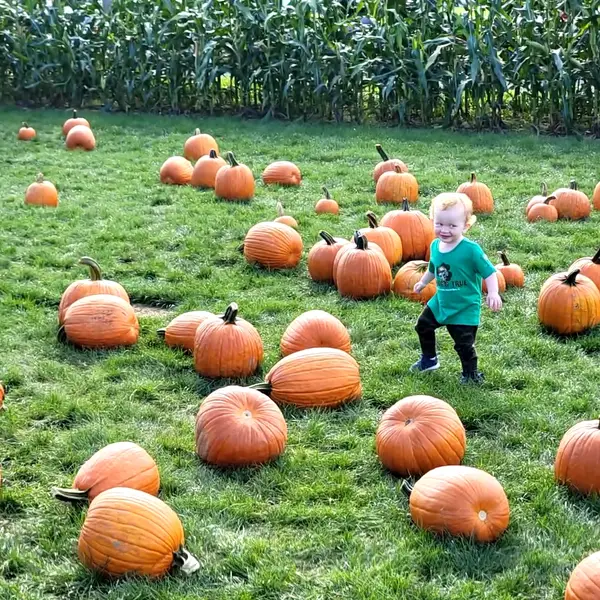 Secor Farms, Mahwah, NJ