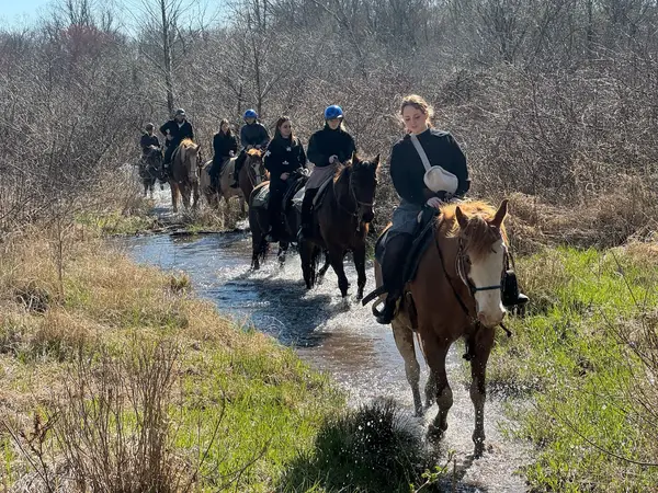 Serene Horse Ranch, Branchville, NJ