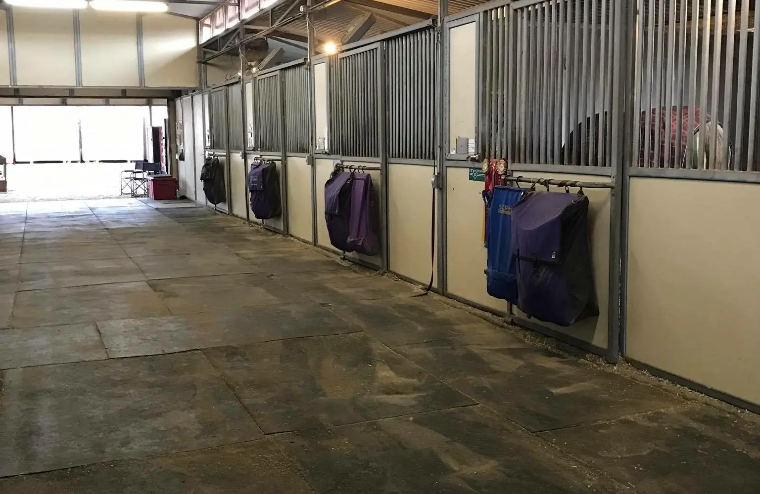 Serenity Equestrian Center