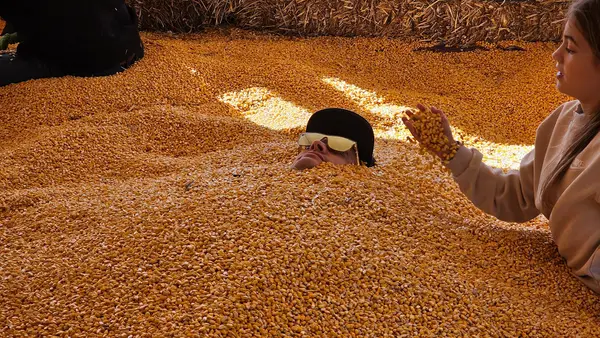 Sever's Corn Maze & Farm Market, Shakopee, MN
