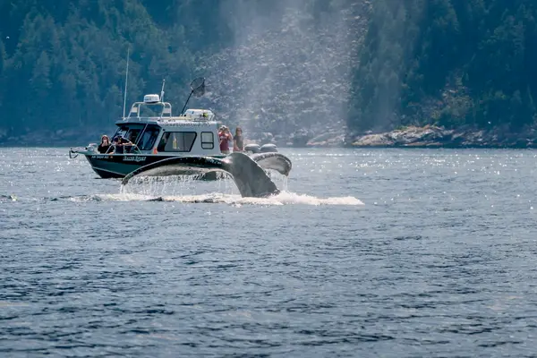 Seward Ocean Excursions, Seward, AK