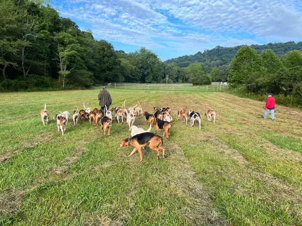 Sewickley Hunt Club