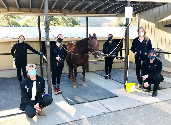 Shadow Hills Equestrian Center, photo 1