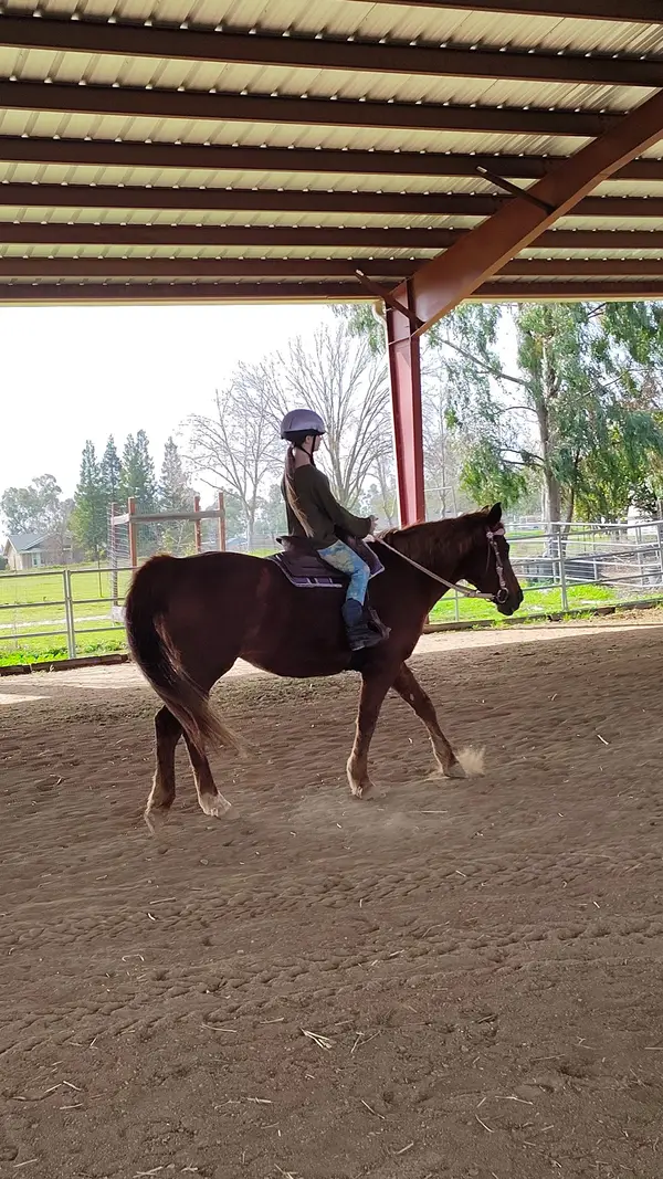 Shamrock Ranch, photo 2