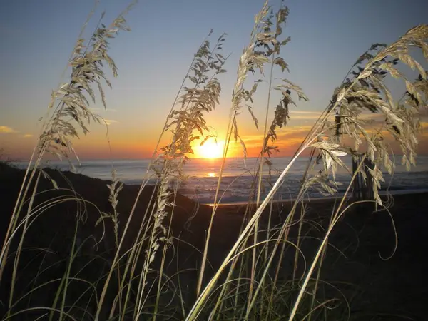 Sharky's Charter Booking LLC, Nags Head, NC